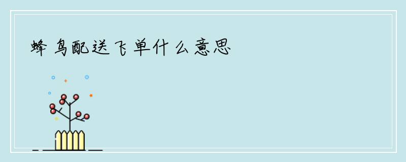 蜂鸟配送飞单什么意思
