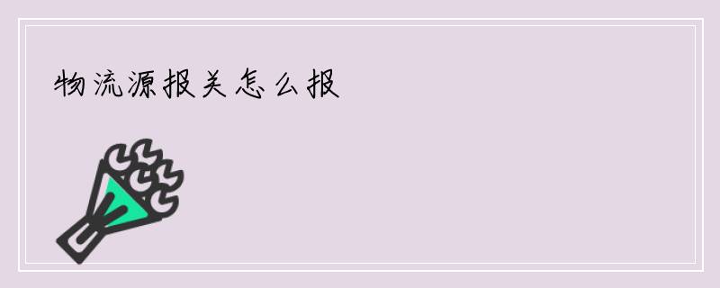 物流源报关怎么报