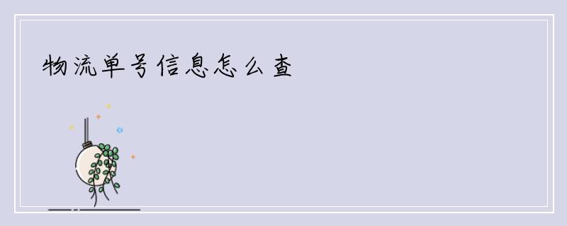 物流单号信息怎么查