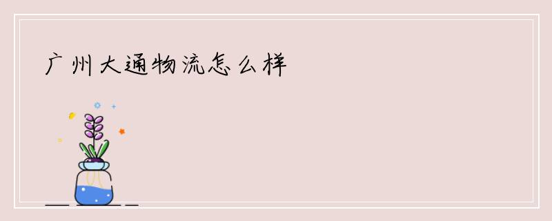 广州大通物流怎么样