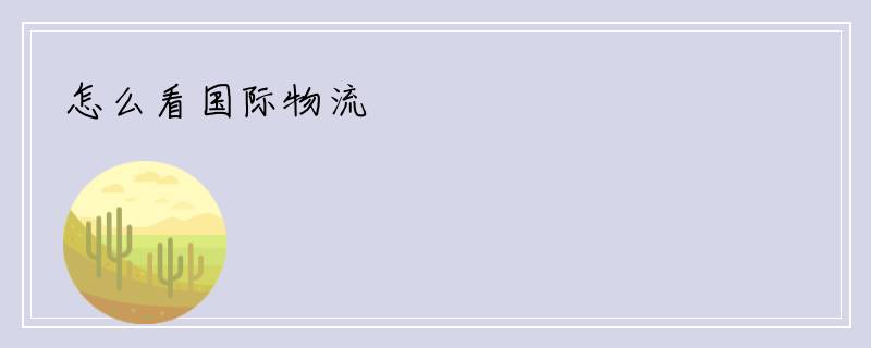 怎么看国际物流