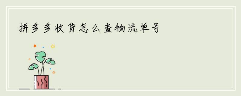 拼多多收货怎么查物流单号