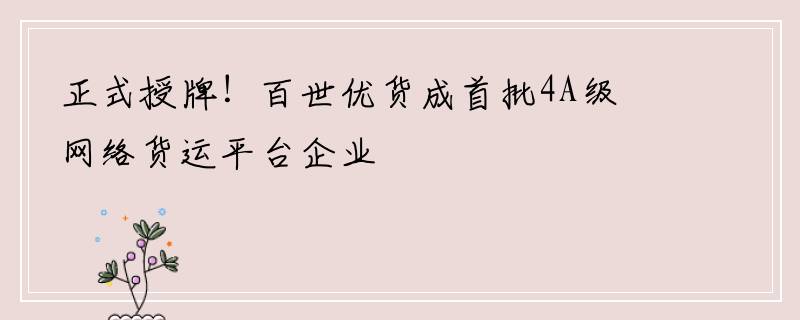正式授牌！百世优货成首批4A级网络货运平台企业