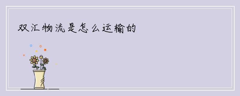 双汇物流是怎么运输的