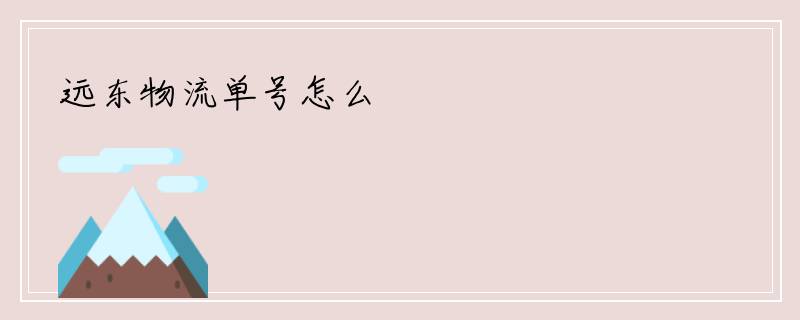 远东物流单号怎么
