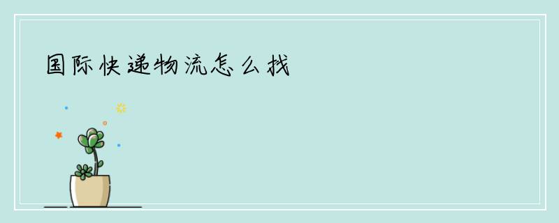 国际快递物流怎么找
