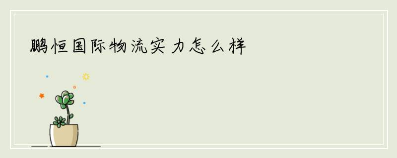 鹏恒国际物流实力怎么样