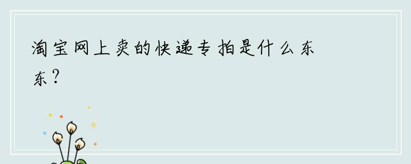 淘宝网上卖的快递专拍是什么东东？
