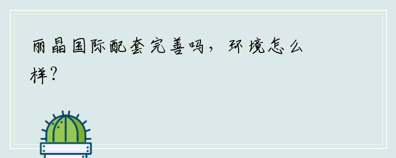 丽晶国际配套完善吗，环境怎么样？