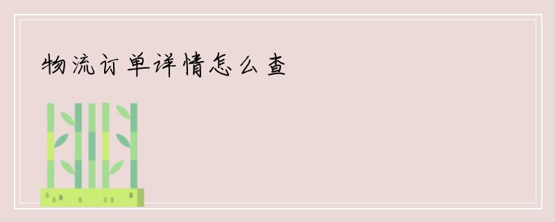 物流订单详情怎么查