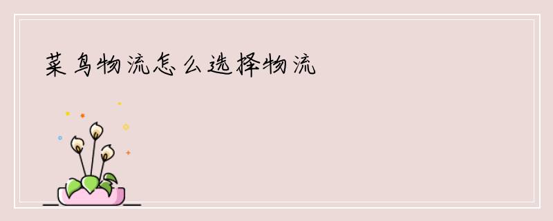 菜鸟物流怎么选择物流