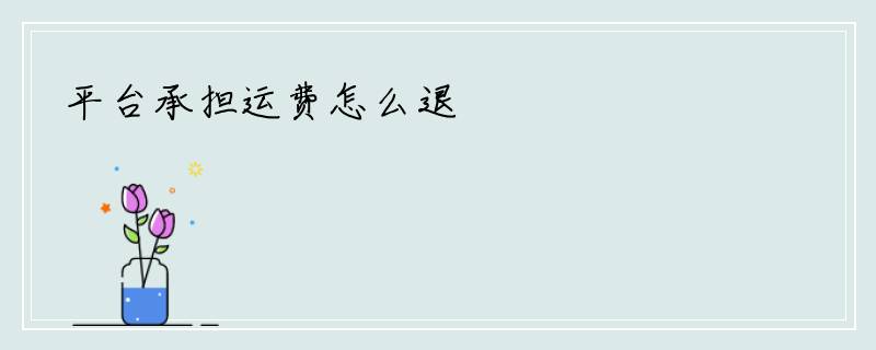平台承担运费怎么退