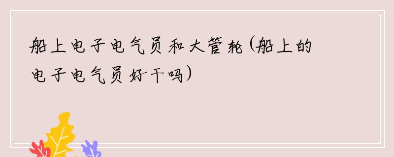 船上电子电气员和大管轮(船上的电子电气员好干吗)