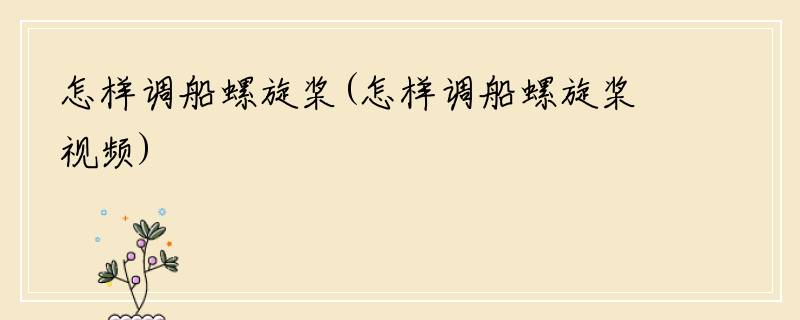 怎样调船螺旋桨(怎样调船螺旋桨视频)