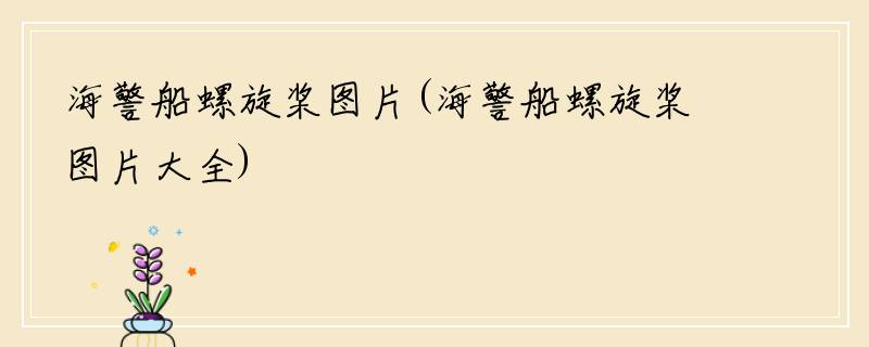 海警船螺旋桨图片(海警船螺旋桨图片大全)