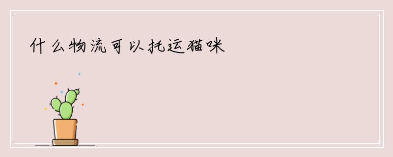 什么物流可以托运猫咪