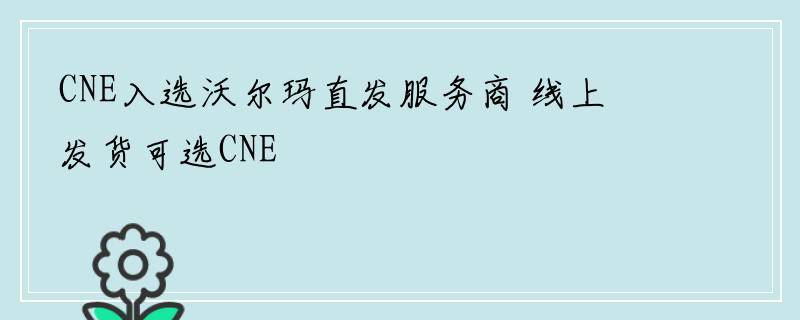 CNE入选沃尔玛直发服务商 线上发货可选CNE