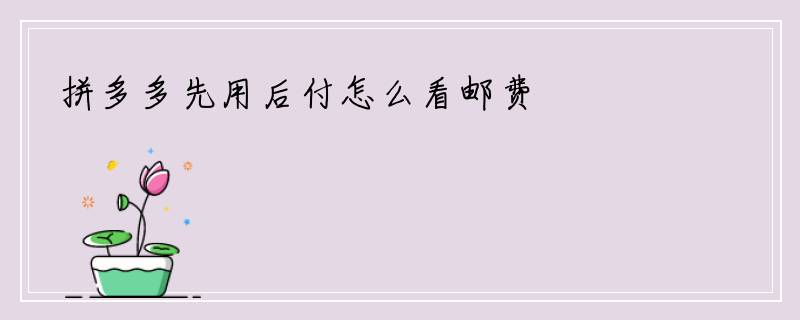 拼多多先用后付怎么看邮费