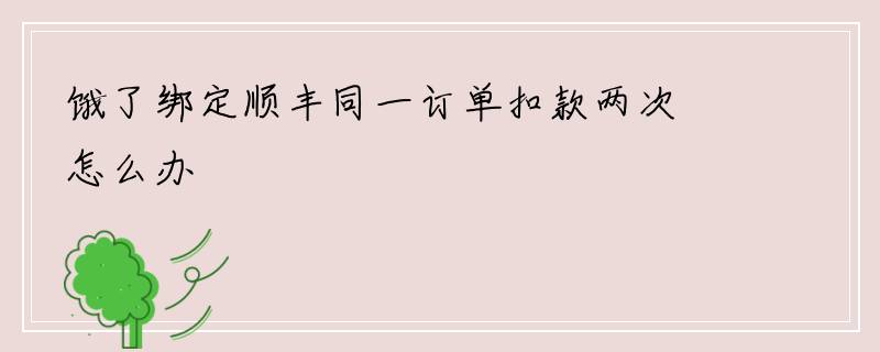 饿了绑定顺丰同一订单扣款两次怎么办