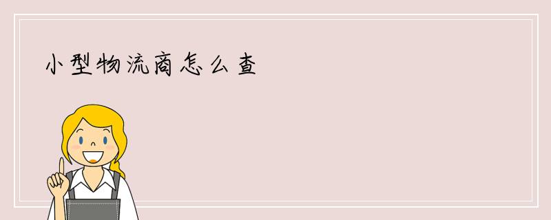 小型物流商怎么查