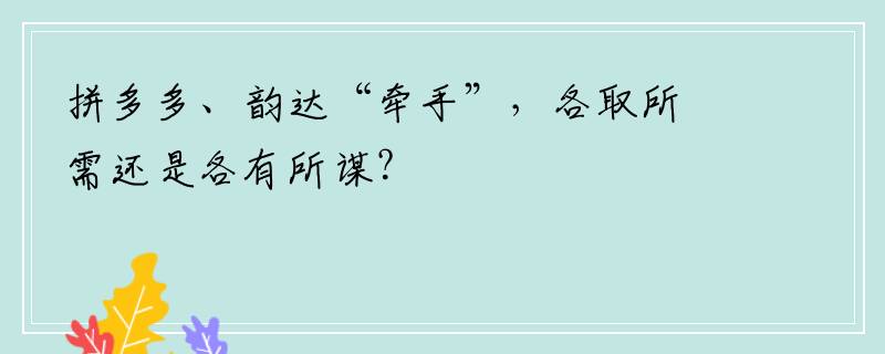 拼多多、韵达“牵手”，各取所需还是各有所谋？