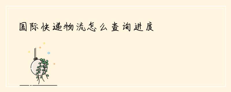 国际快递物流怎么查询进度