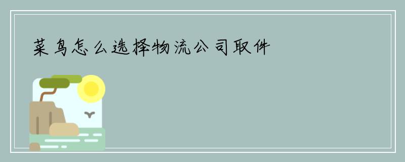 菜鸟怎么选择物流公司取件