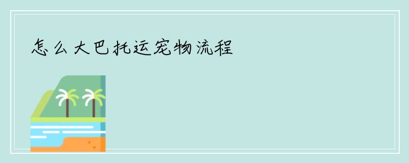 怎么大巴托运宠物流程