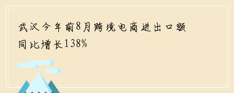 武汉今年前8月跨境电商进出口额同比增长138%