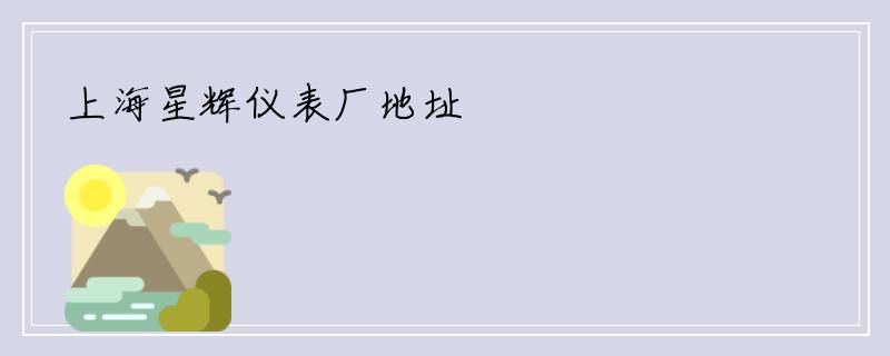 上海星辉仪表厂地址