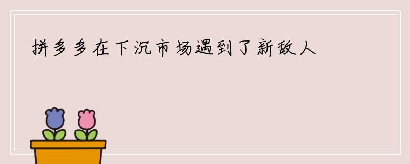 拼多多在下沉市场遇到了新敌人