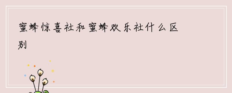 蜜蜂惊喜社和蜜蜂欢乐社什么区别