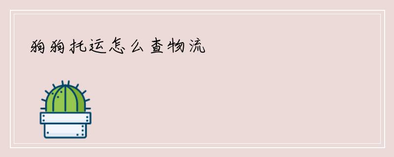 狗狗托运怎么查物流