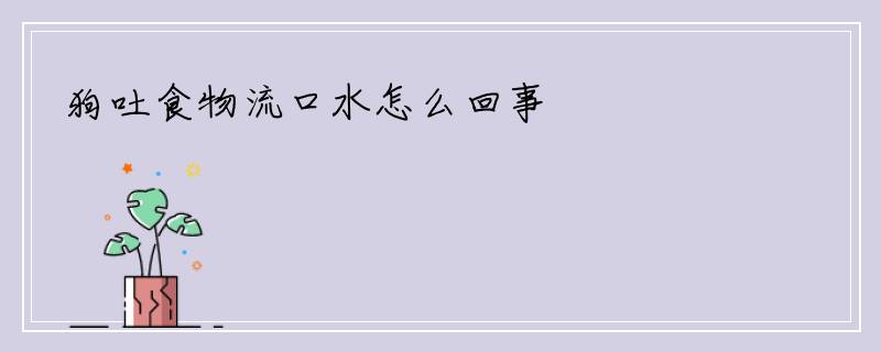 狗吐食物流口水怎么回事