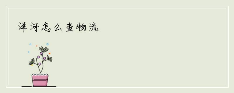 洋河怎么查物流