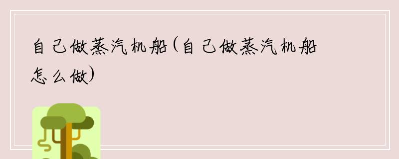 自己做蒸汽机船(自己做蒸汽机船怎么做)