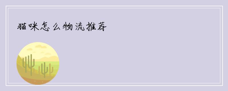 猫咪怎么物流推荐