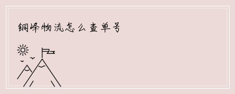 铜峰物流怎么查单号