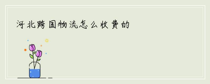 河北跨国物流怎么收费的