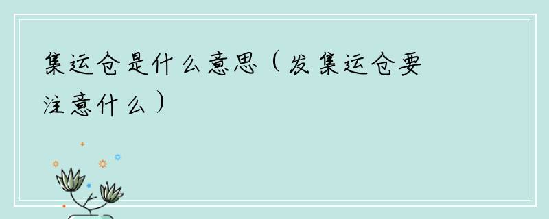 集运仓是什么意思（发集运仓要注意什么）