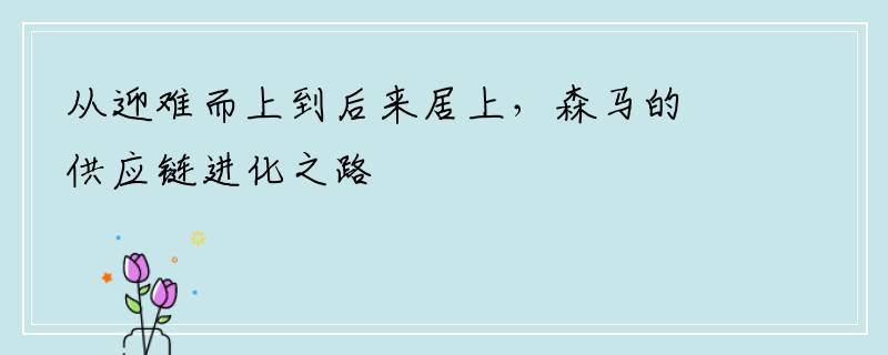 从迎难而上到后来居上，森马的供应链进化之路