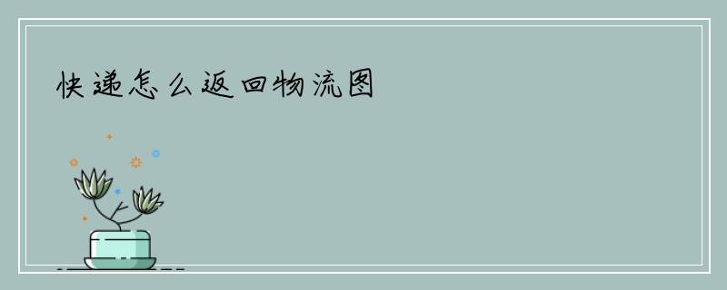 快递怎么返回物流图