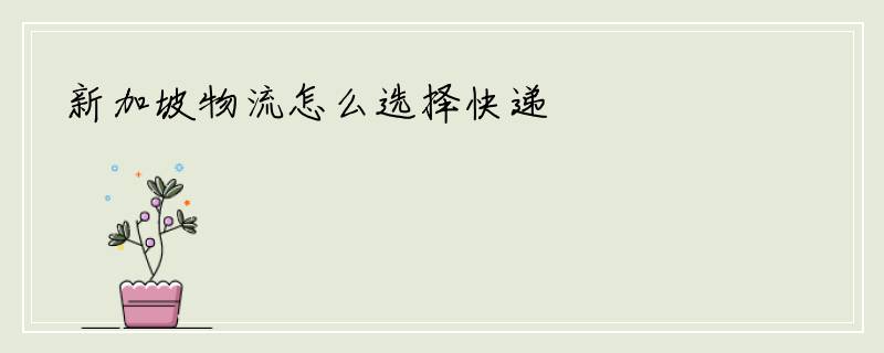 新加坡物流怎么选择快递