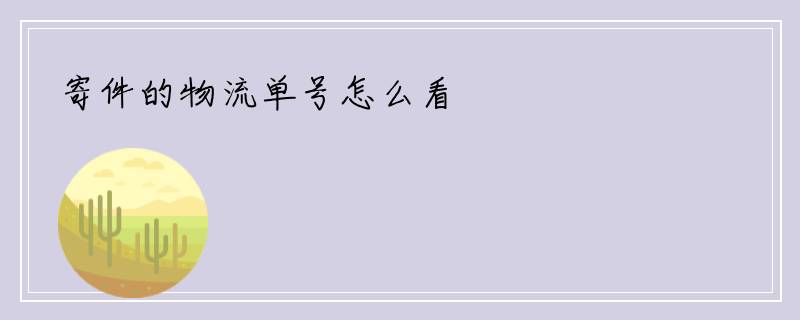 寄件的物流单号怎么看