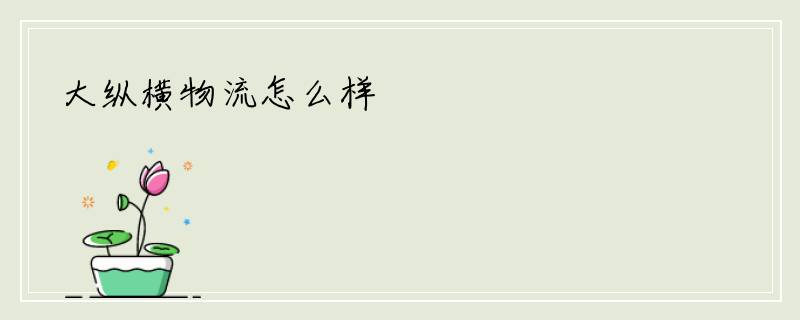 大纵横物流怎么样