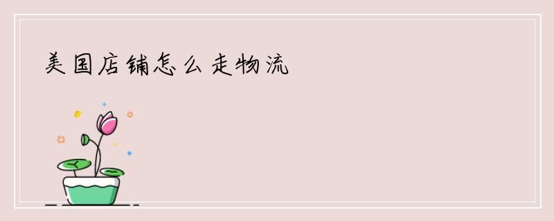 美国店铺怎么走物流