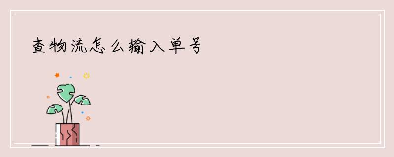 查物流怎么输入单号