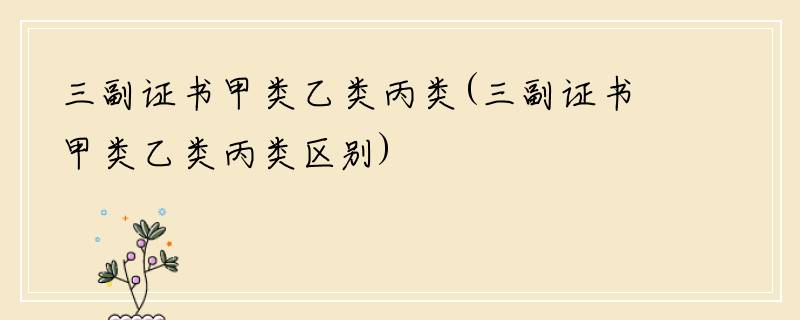 三副证书甲类乙类丙类(三副证书甲类乙类丙类区别)