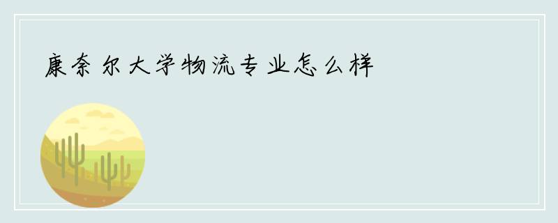 康奈尔大学物流专业怎么样