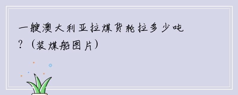 一艘澳大利亚拉煤货轮拉多少吨？(装煤船图片)